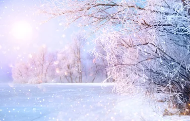 Photo sur Plexiglas Hiver Belle scène de paysage d& 39 hiver avec des arbres couverts de neige et une rivière de glace