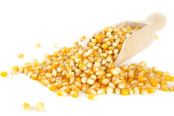 Scattered dried corn with scoop on white