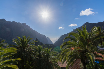 Fototapeta na wymiar Nature in Masca Village, Tenerife