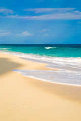 Carribbean sea shore