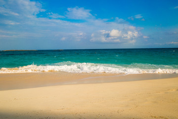 Fototapeta premium Carribbean sea shore