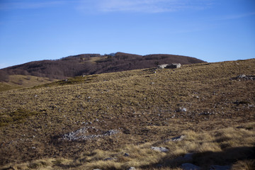 Northern Velebit (national park in Croatia) landscape