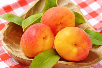 Fototapeta na wymiar ripe apricots with leaves