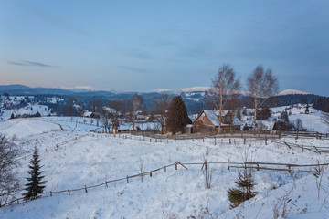 Winter landscape. Winter road and trees covered with snow