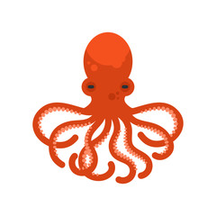 Vector flat style illustration of octopus. 