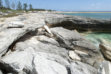 Fototapeta na wymiar Eroded Bahamian Beach