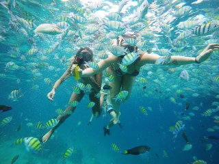 Sea Nature 