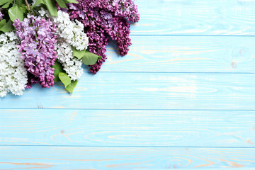 Blooming lilac flowers on a blue wooden table