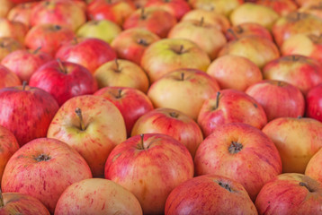 red apples on a wooden background