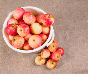 bucket with red apples collected and lying next to a pile of apples.