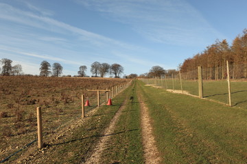 Winter landscape with game rearing pens and woodlands on the scenic Yorkshire wolds in winter
