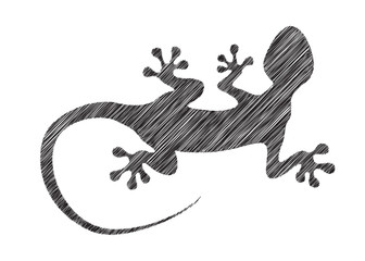 Vector gecko in pencil drawing style