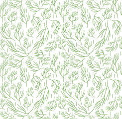 Obraz premium Herbs seamless pattern. Dill endless background, texture. Vegetable backdrop. Vector illustration