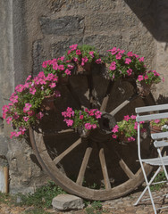 Fototapeta na wymiar Wagon Wheel Flower Display