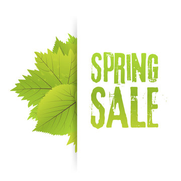Spring Sale Poster With Green Leaf. Vector banner Template Illustration