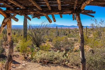 Sonoran Desert Mountain Vista