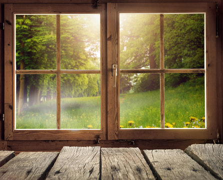 Holzh&uuml;tte mit Ausblick auf eine Waldlichtung im Fr&uuml;hling/Fr&uuml;hsommer bei Sonnenschein