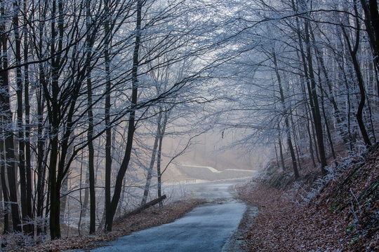 Fototapeta Winter landscape