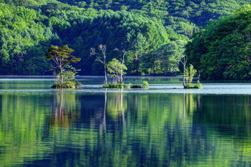 Fototapeta na wymiar 曽原湖の朝