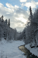 landscape with mountain river in winter