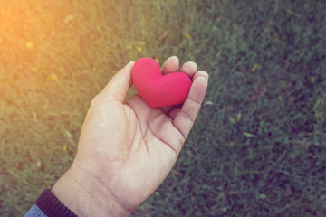 Hands of a man holding a red hart as symbol of love. valentine d