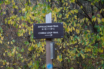 At a crossroads on the Appalachian trail