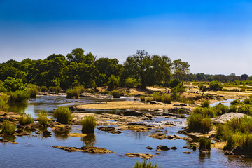 République d& 39 Afrique du Sud - Province de Mpumalanga. Parc national Kruger, la rivière Sabie