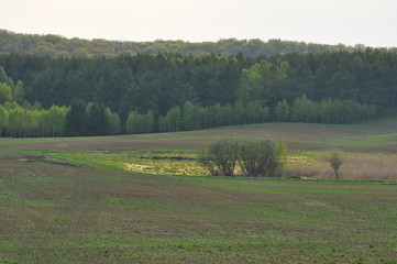 Polska - Mazury - Warmia