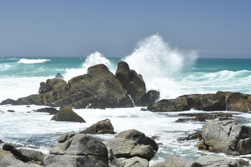 Obraz premium The beauty of South Africa's West Coast