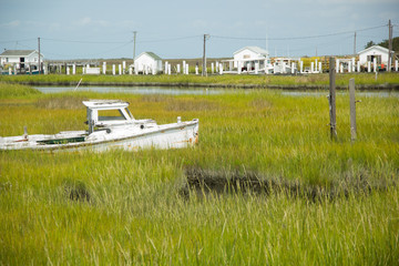 Boat in Reeds