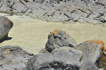 The beauty of South Africa's West Coast