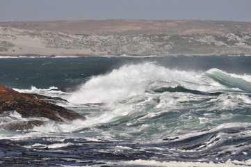 The beauty of South Africa's West Coast