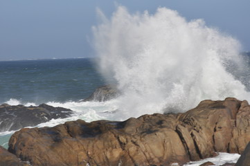 The beauty of South Africa's West Coast