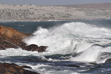 The beauty of South Africa's West Coast