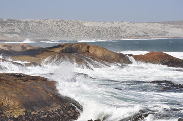 The beauty of South Africa's West Coast