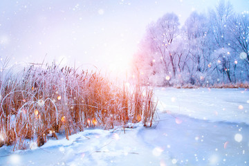 Belle scène de paysage d& 39 hiver avec des arbres couverts de neige et une rivière de glace