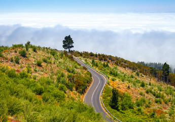 Fototapeta na wymiar mountain route above the clouds in Tenerife Island, Spain