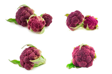 Purple italian cauliflower isolated on white
