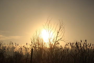 Fototapeta na wymiar smoky sunrise