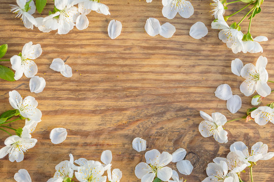 Spring frame with cherry flowers on old wooden background with free space