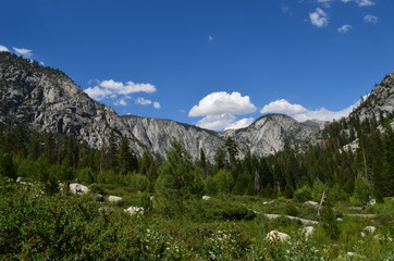 Valley in the Mountains