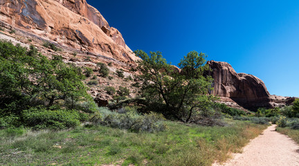 Fototapeta na wymiar Negro Bill's Trail near Moab.
