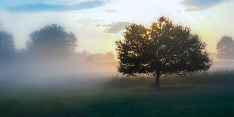 Fototapeta na wymiar A foggy morning along a trail in Wyomissing Park near Reading, PA