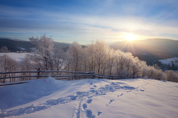 Obraz premium Winter landscape. road covered with snow