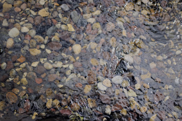 stones under water