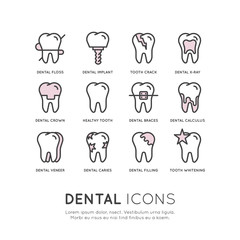 Isolated Vector Style Illustration Logo Set Badge or Dental Care and Disease, Treatment Concept, Tooth Cure Orthodontics