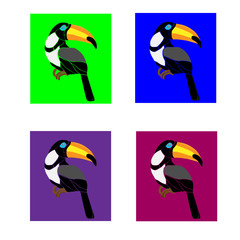 toucan in four squares