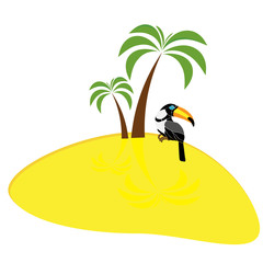 toucan under a palm tree