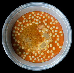 Soup with meatballs in a large pot on the market