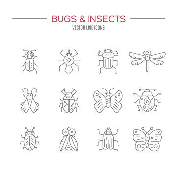 Bugs Icon Collection